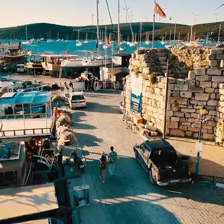 Campsite Mona Glamping Caravan