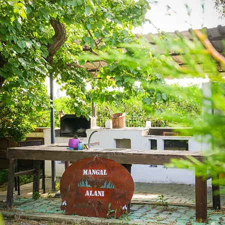 Mona Glamping Caravan 营地 *