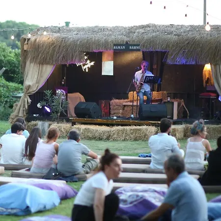 Camping Mona Glamping Caravan